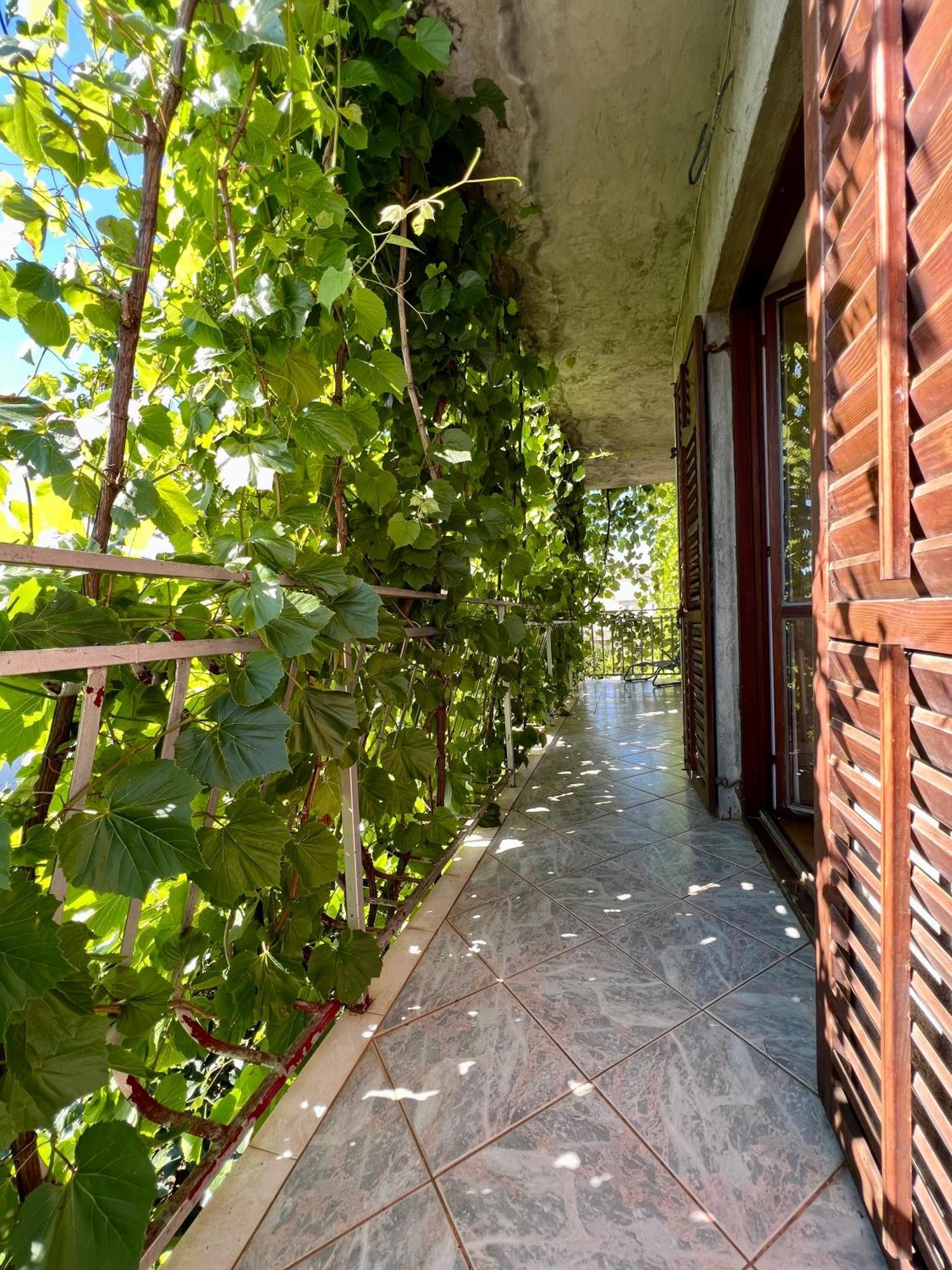 Vodice Center Apartments ห้อง รูปภาพ